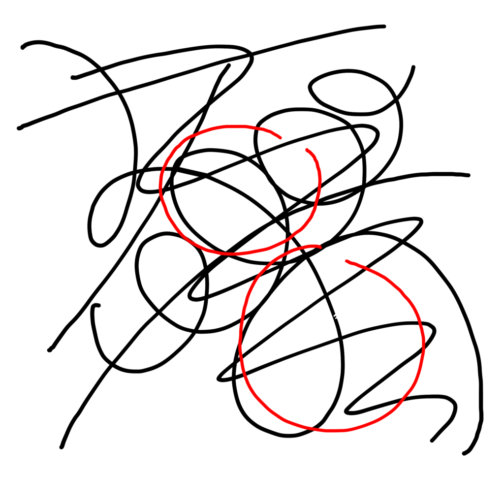 An image of black squiggles, with the head and body circled in red.