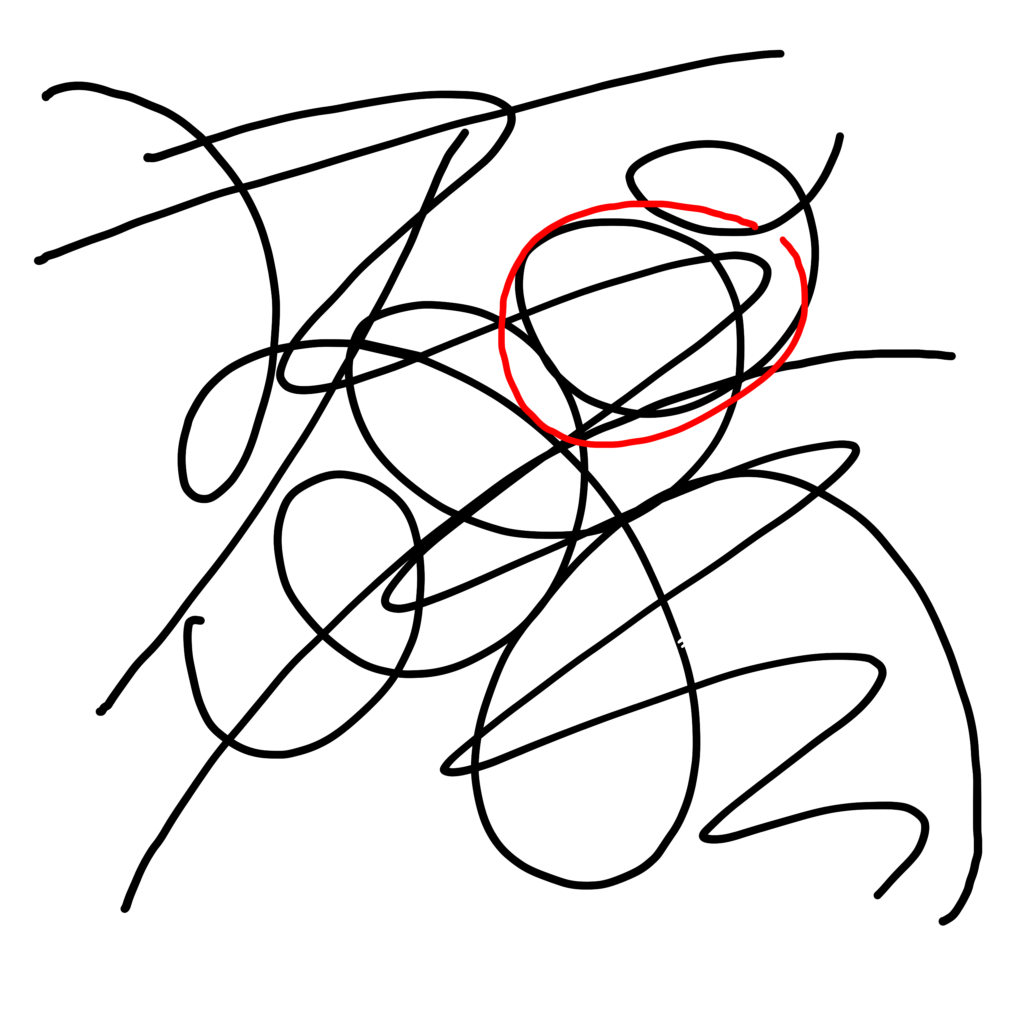 An image of the black squiggles with the beak circled in red.